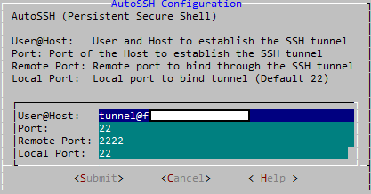 LAN Turtle AutoSSH configuration example