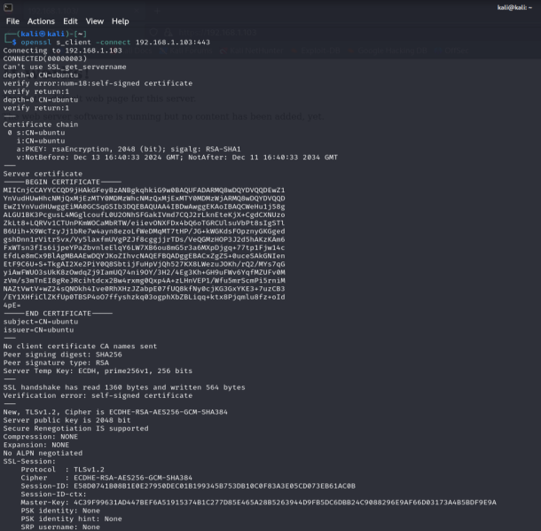 File:KaliLinux2024.3SClient 1.png