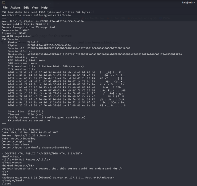 File:KaliLinux2024.3SClient 2.png