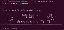 Squirrelssh.jpg