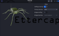 Ettercap.png