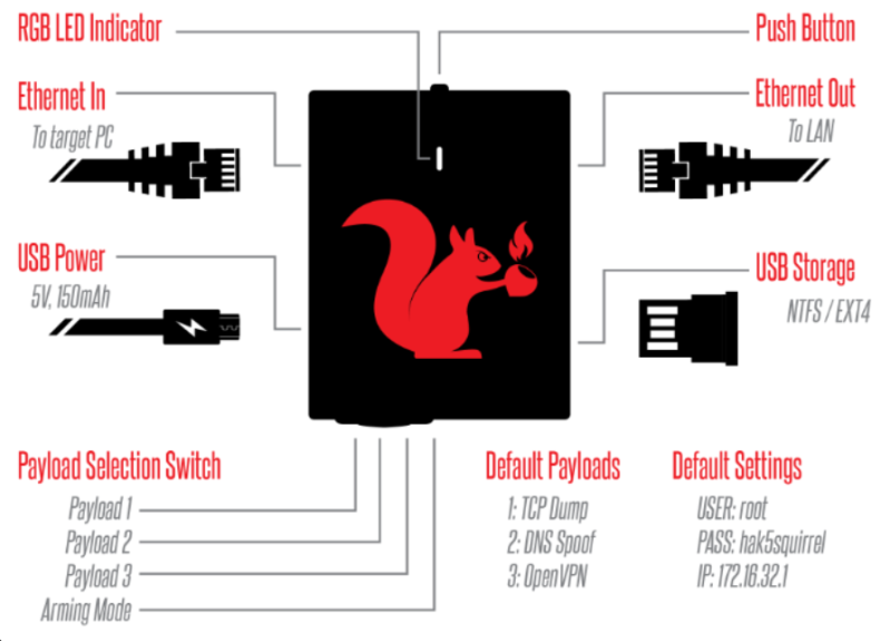 File:Setup packet Squirrel.png