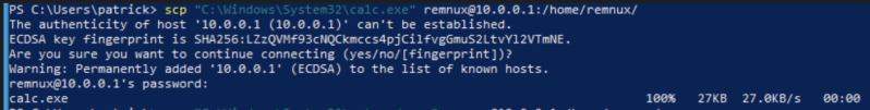 File:Copyexe.png